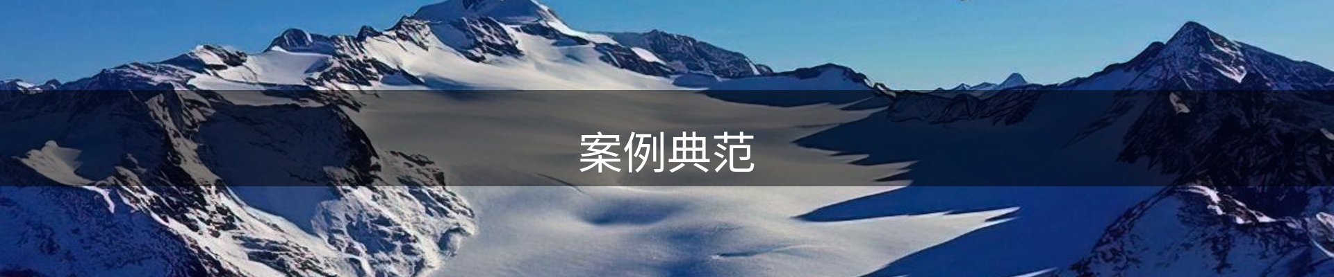 案例典范